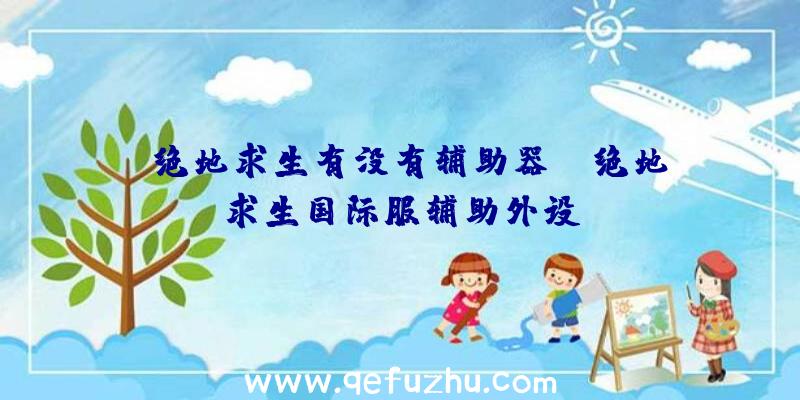 「绝地求生有没有辅助器」|绝地求生国际服辅助外设